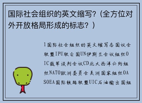 国际社会组织的英文缩写？(全方位对外开放格局形成的标志？)